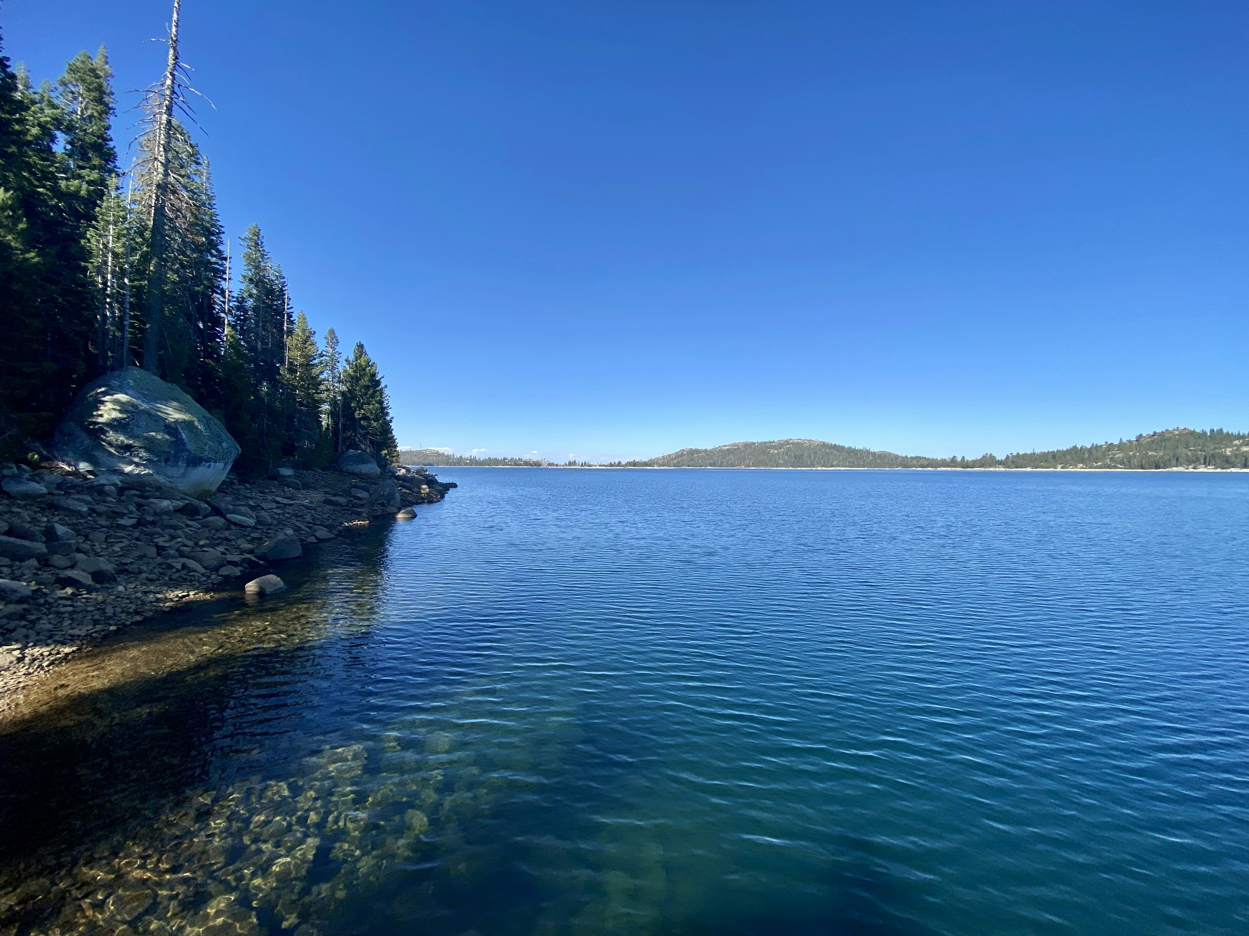 a body of water with trees on the side