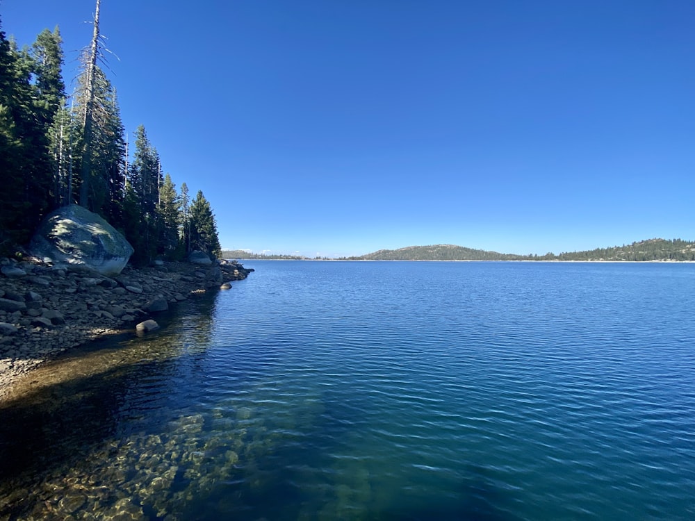 a body of water with trees on the side