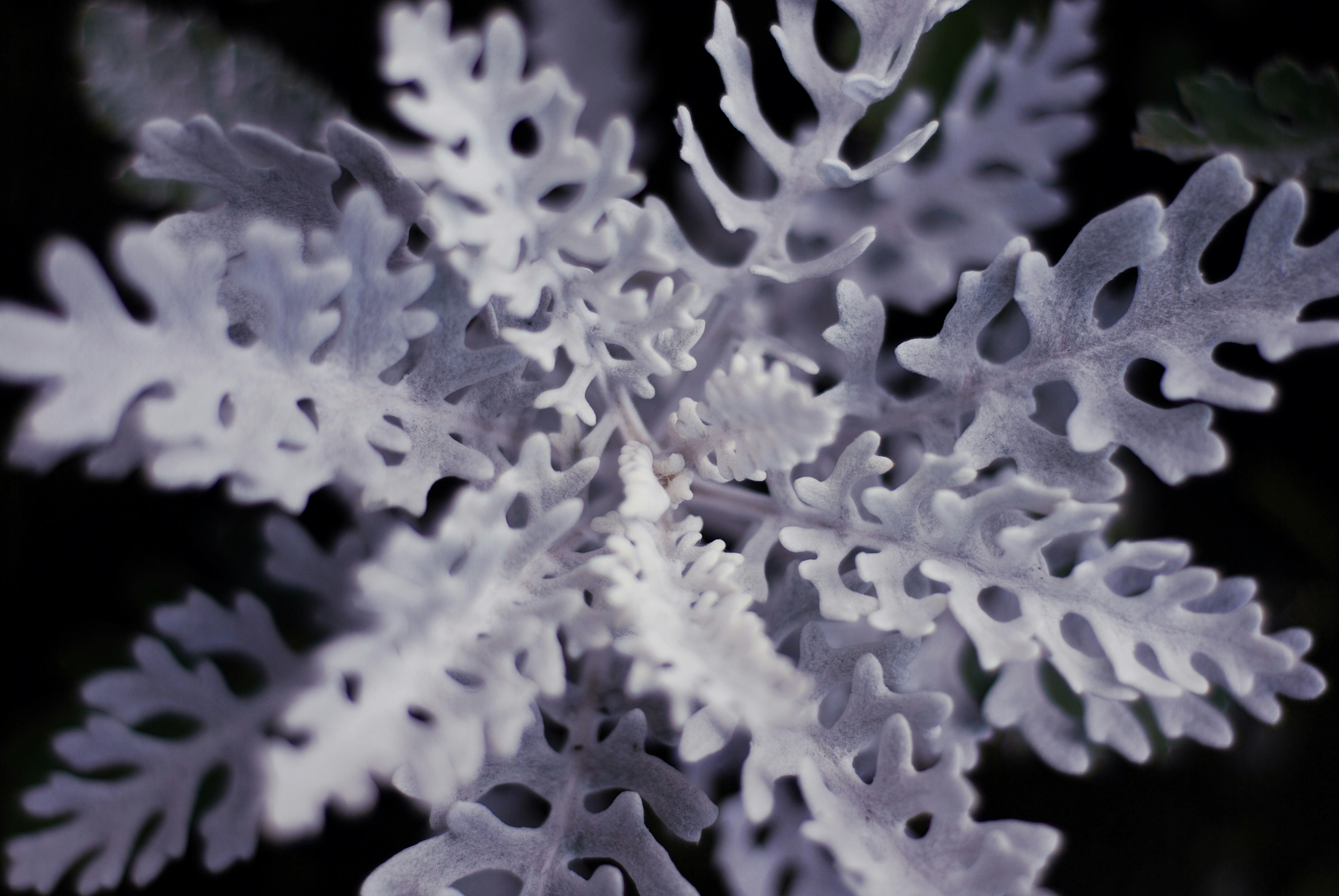 Photo by kovalskihelga