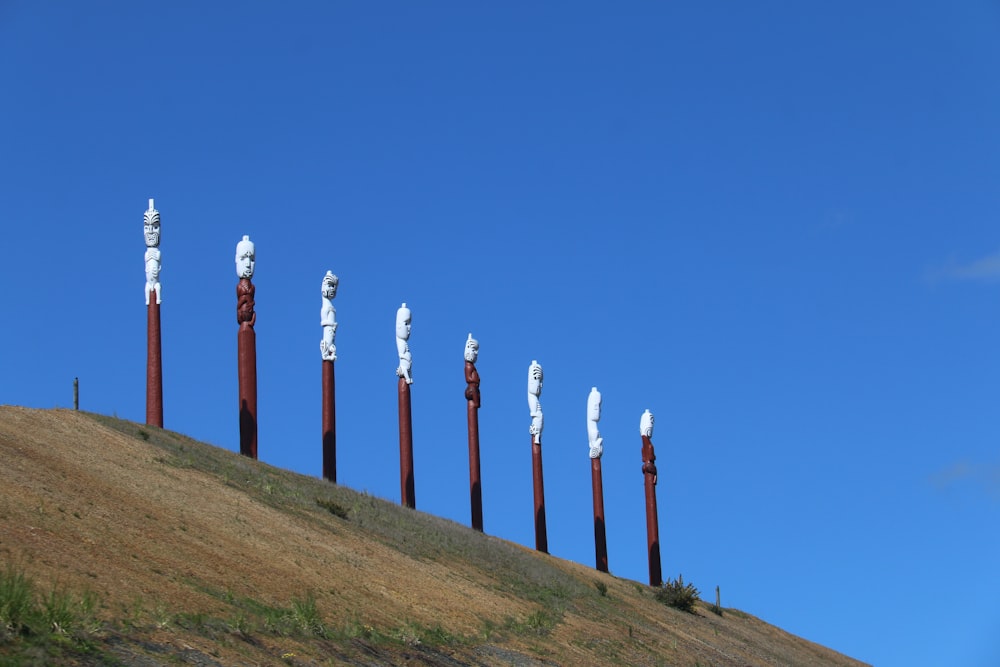 a group of flags on a hill