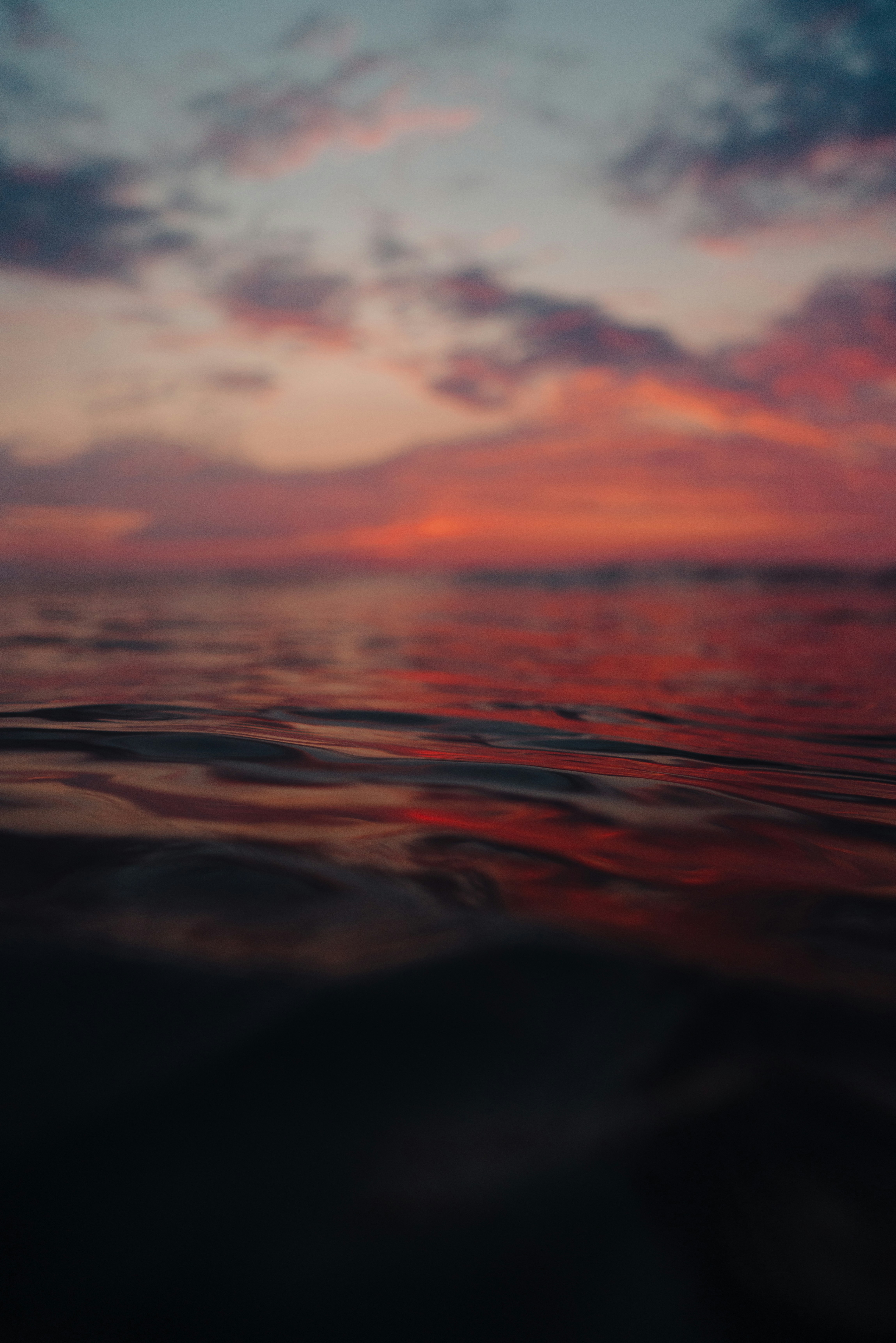 The Toxic Load Concept: How Environmental Burden Overwhelms Detoxification