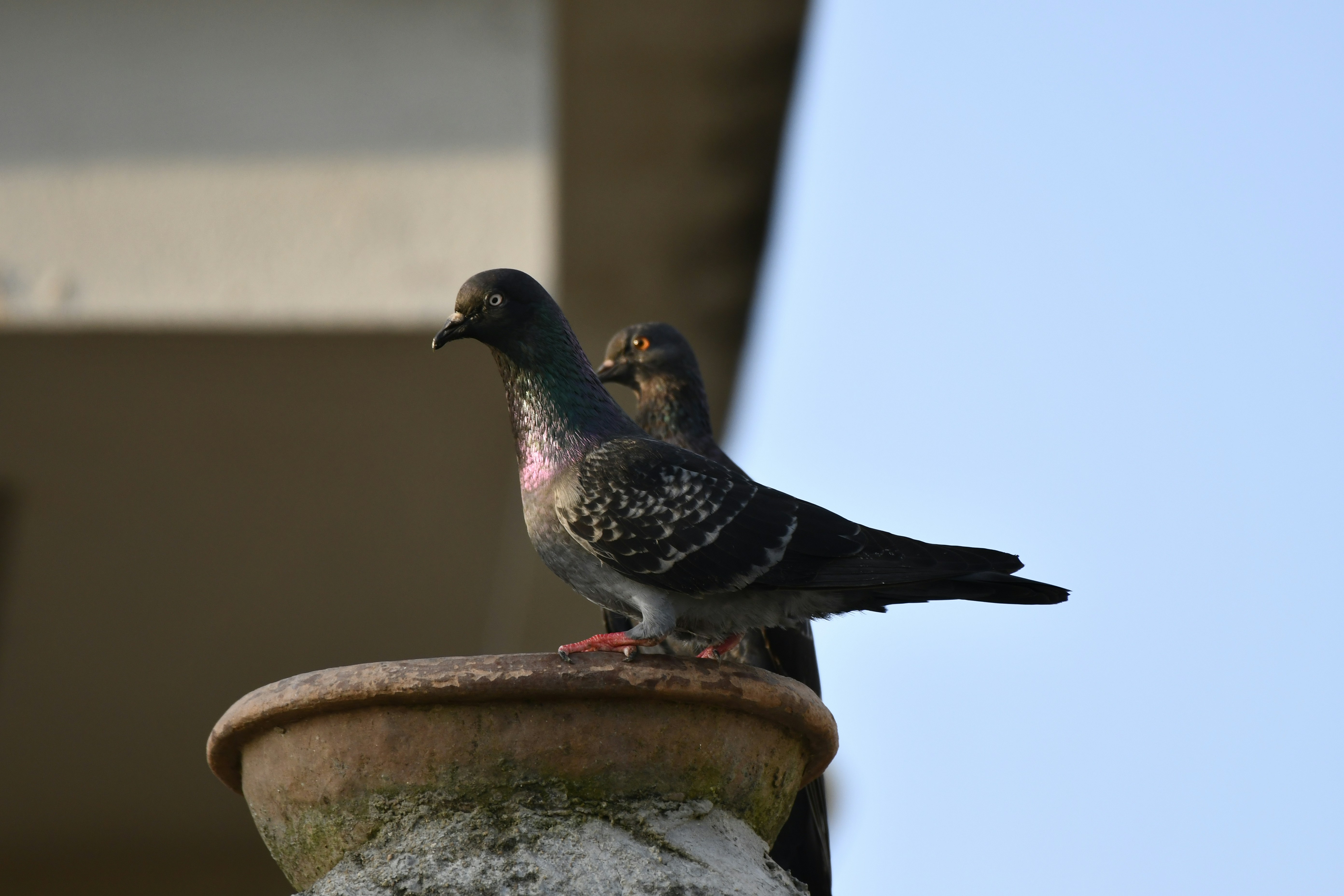 Photo by wrishi2004m