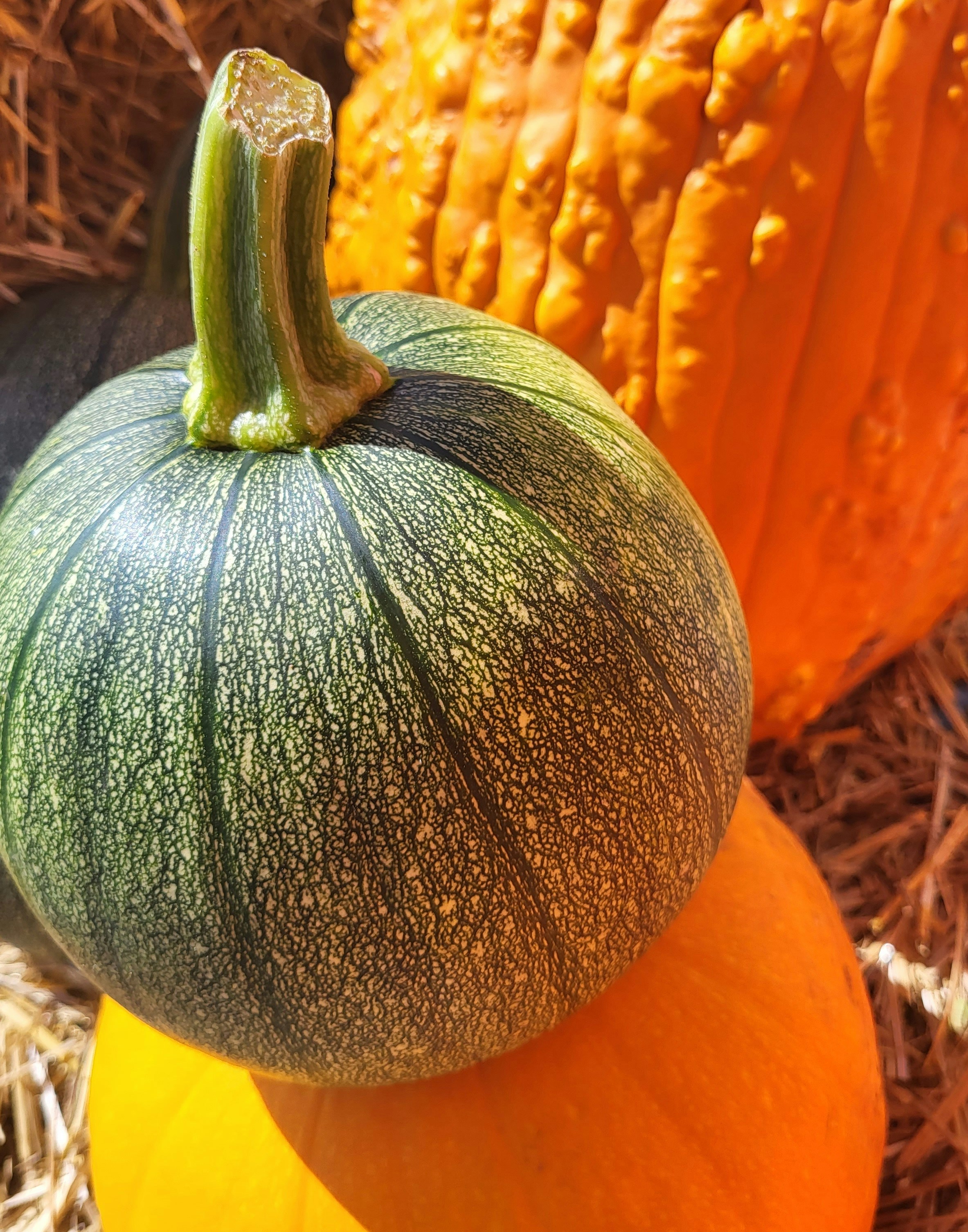 Photo by amaphotosforall