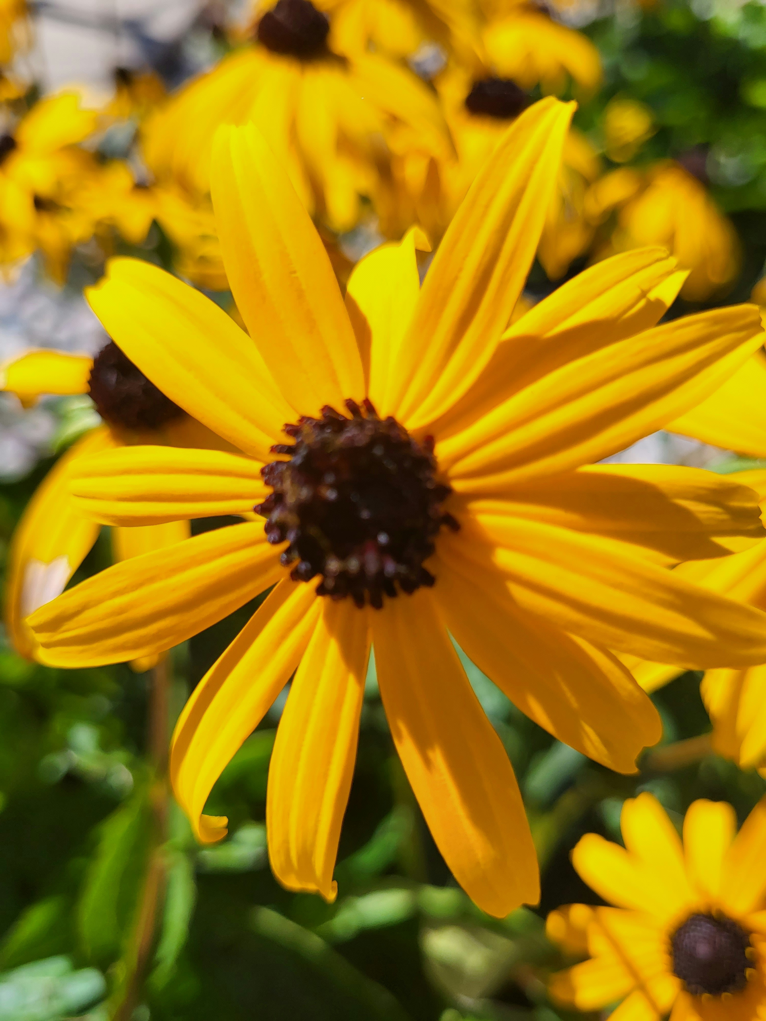 Photo by amaphotosforall