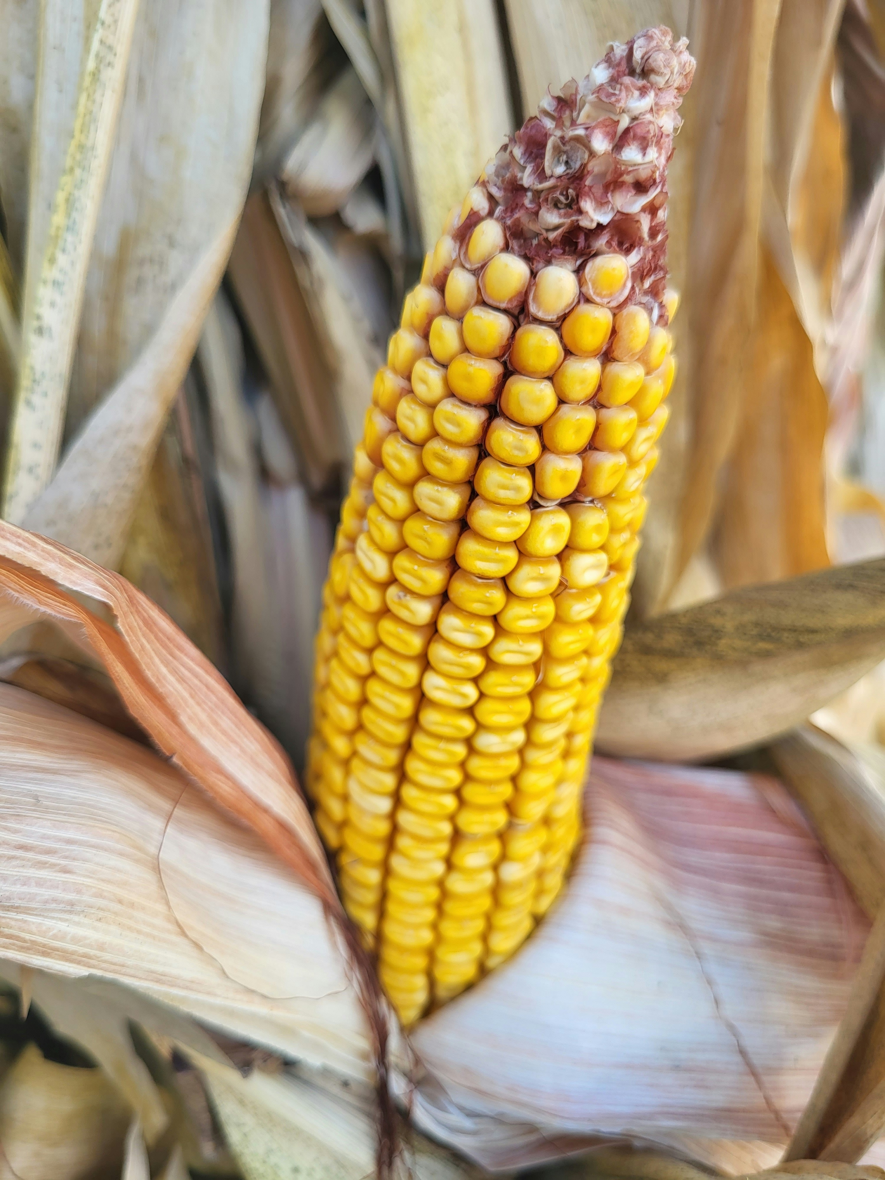 Photo by amaphotosforall