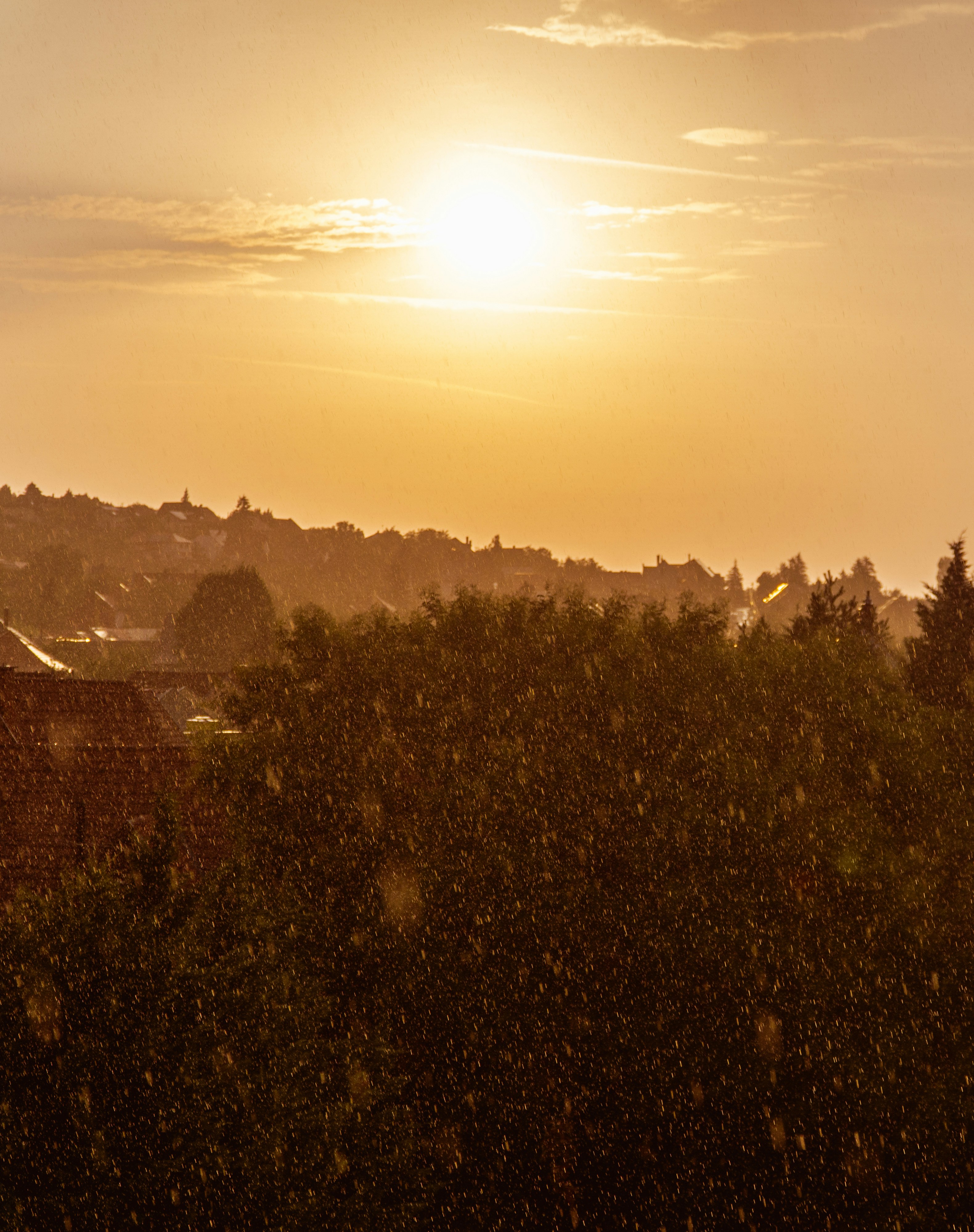 Photo by annaspoljar