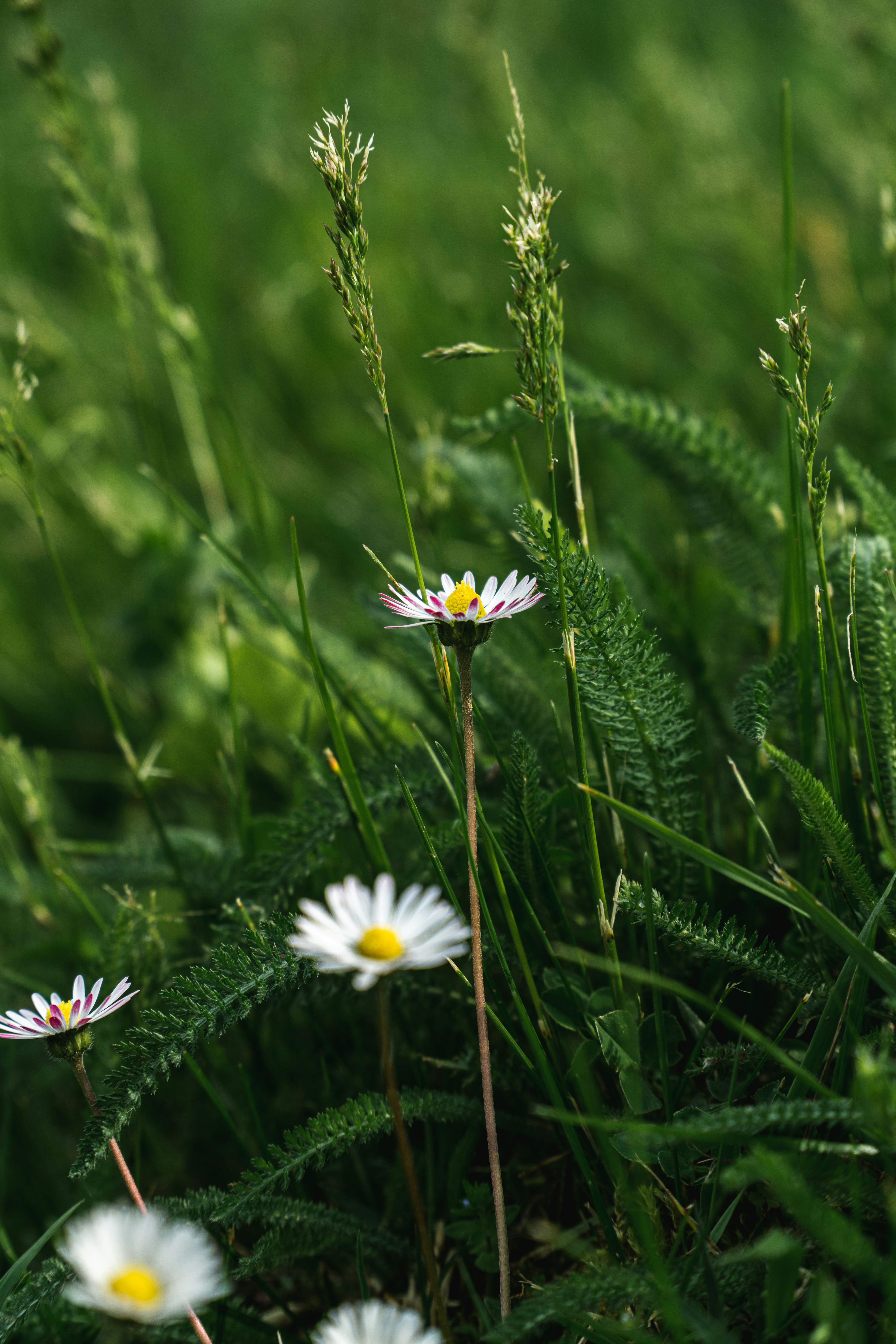 Photo by annaspoljar