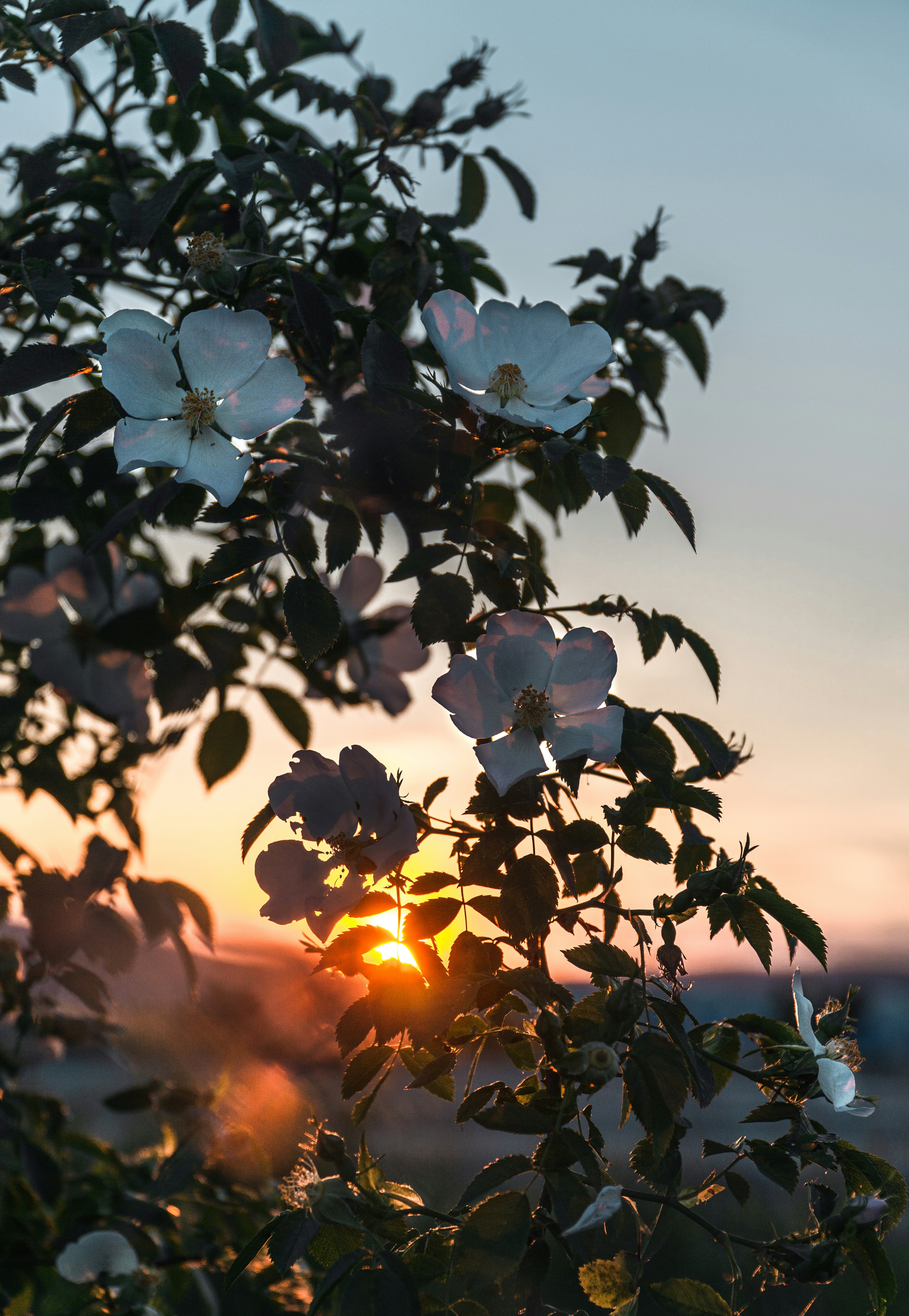 Photo by annaspoljar