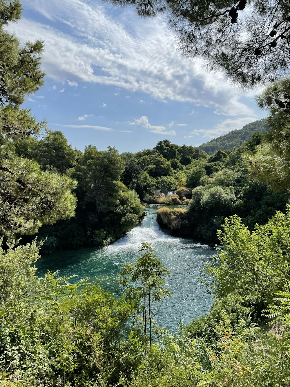 a river surrounded by trees