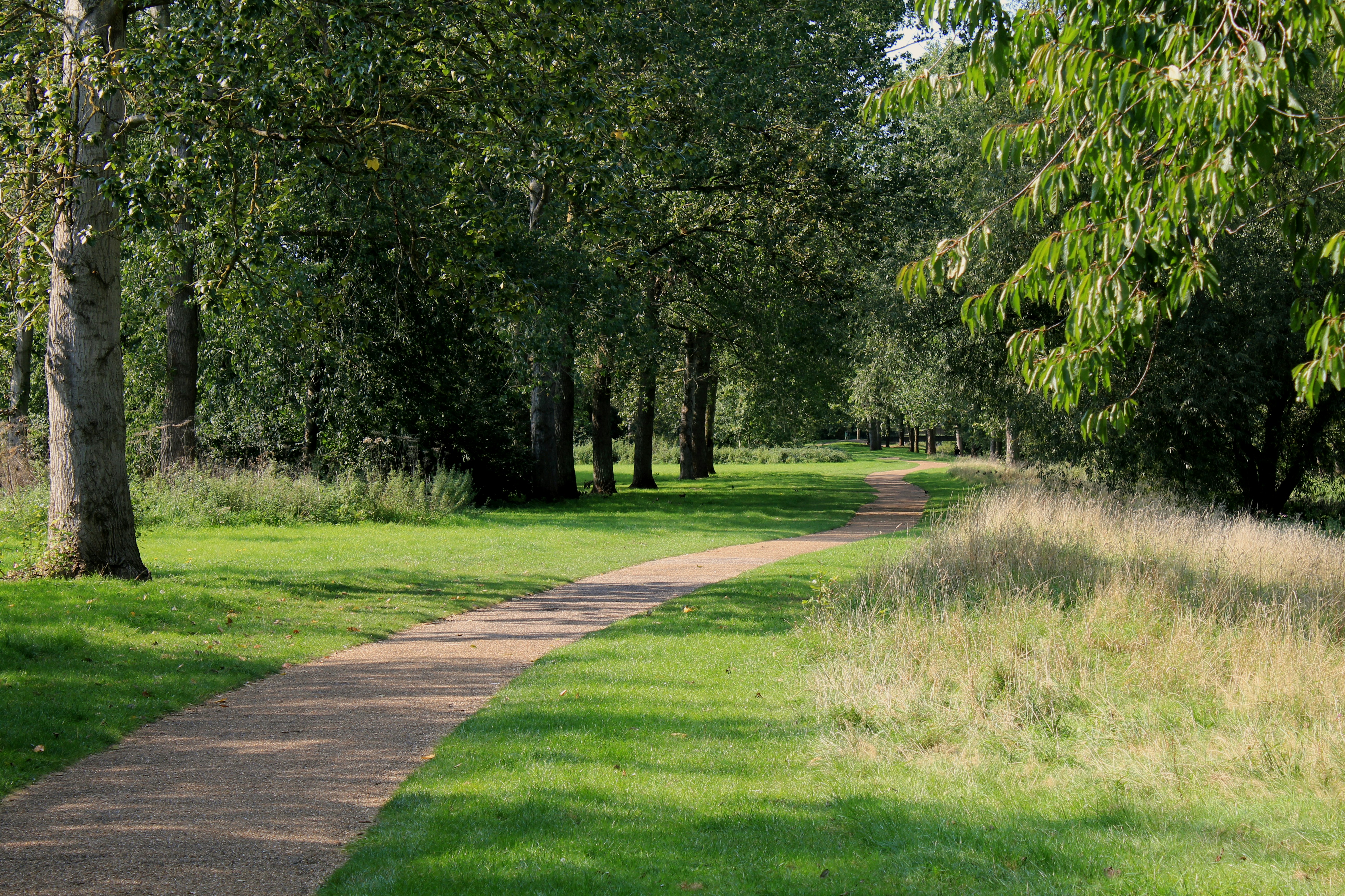 Photo by fidgetingferdie