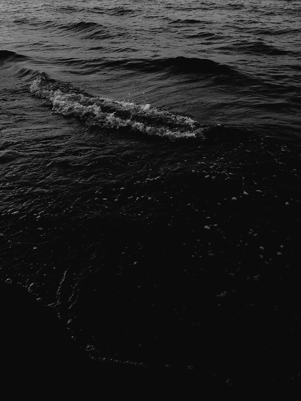 a wave in the ocean