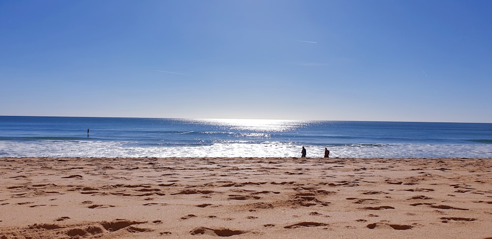 people on a beach