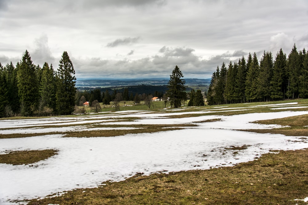 a snowy field with trees and a body of water in the background