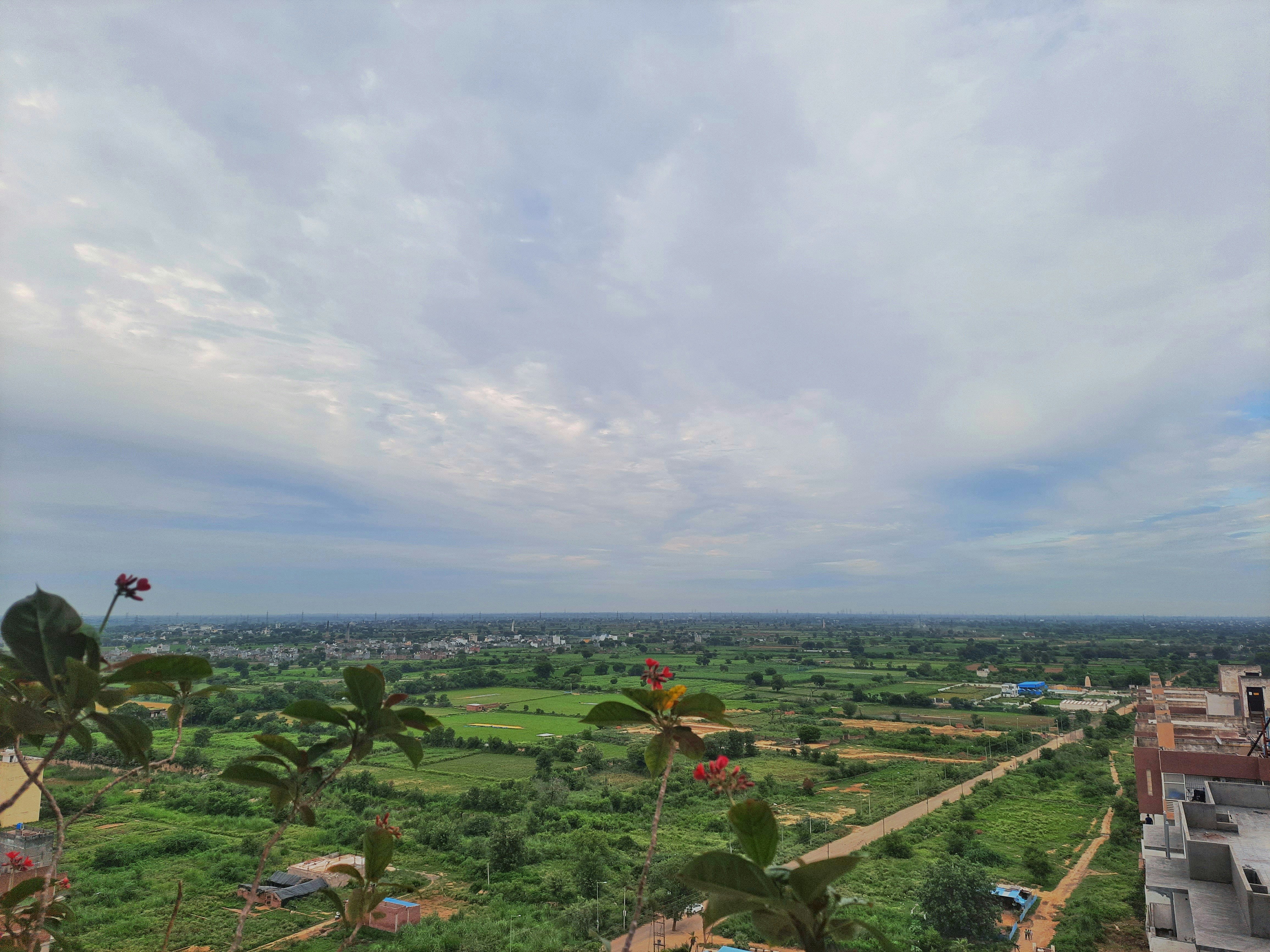 a landscape with trees and plants
