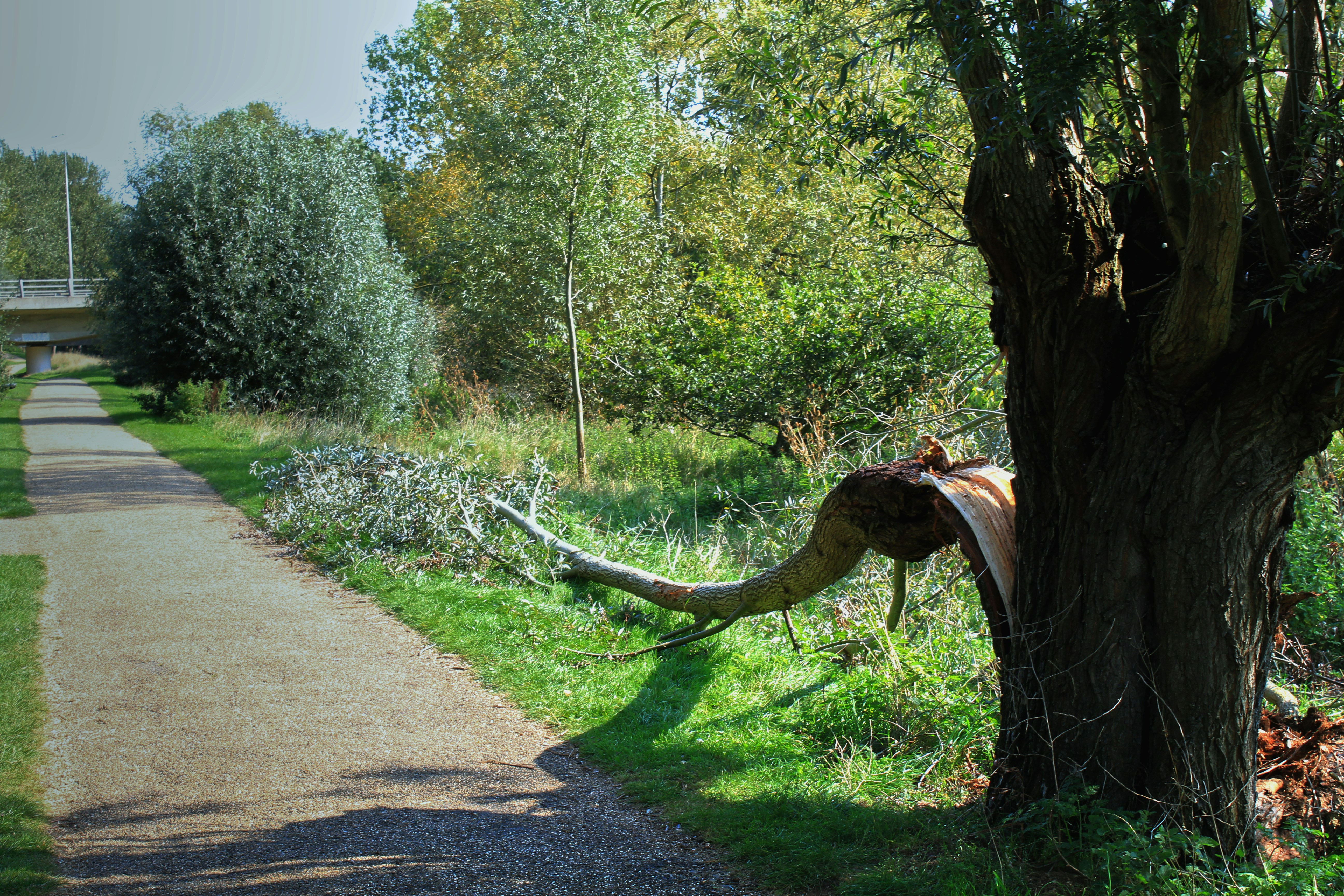 Irchester Country Park