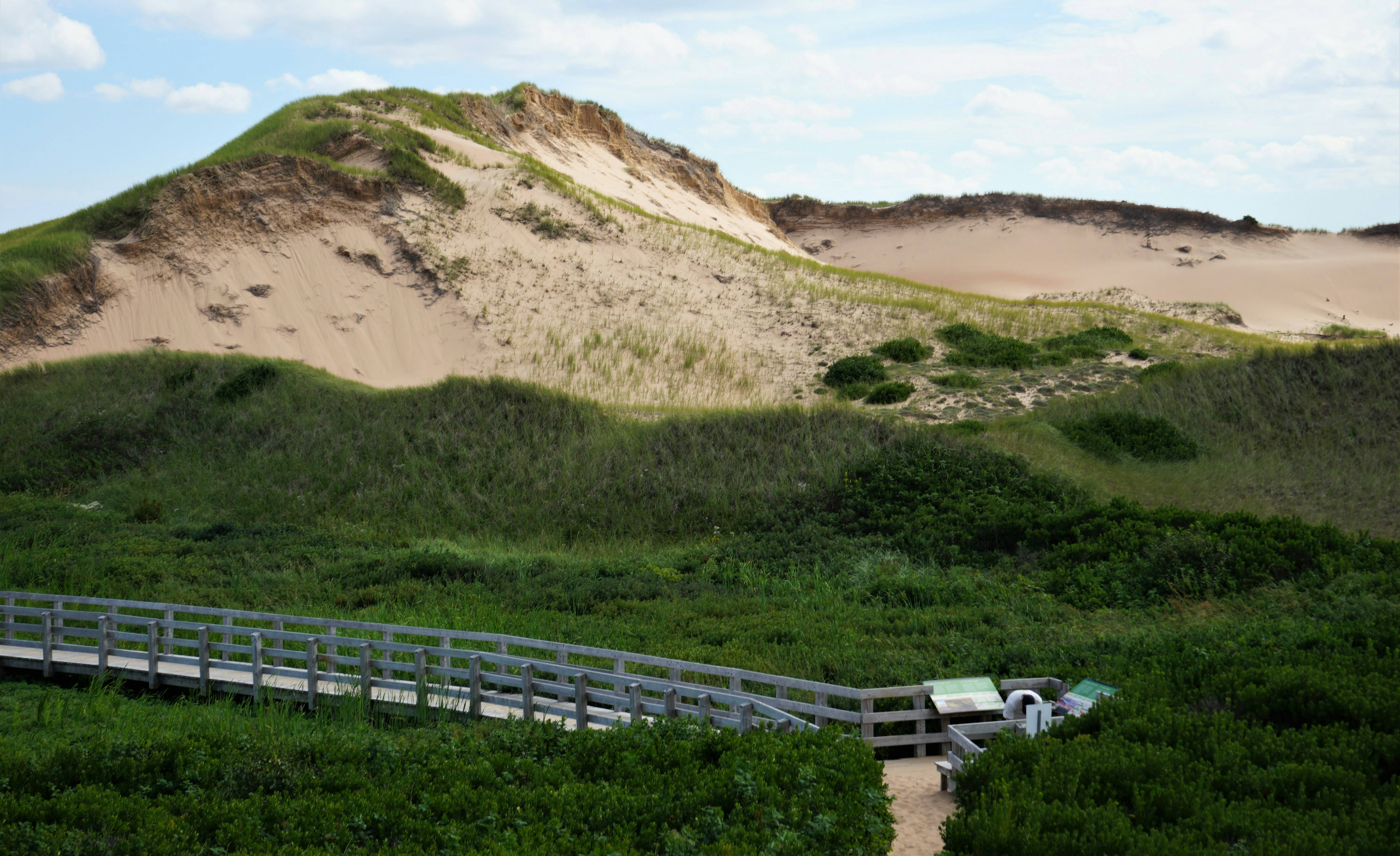 a fence in a grassy area, Dunes