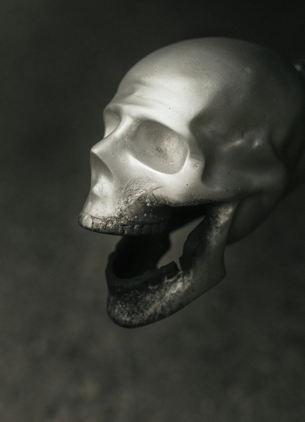 a skull with a human face