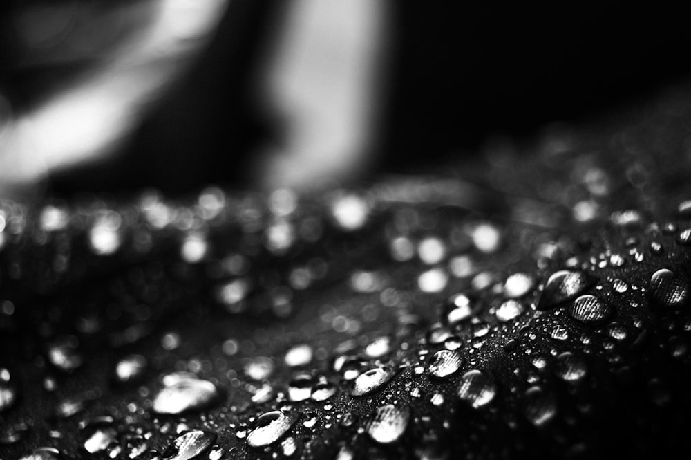 a close up of water drops