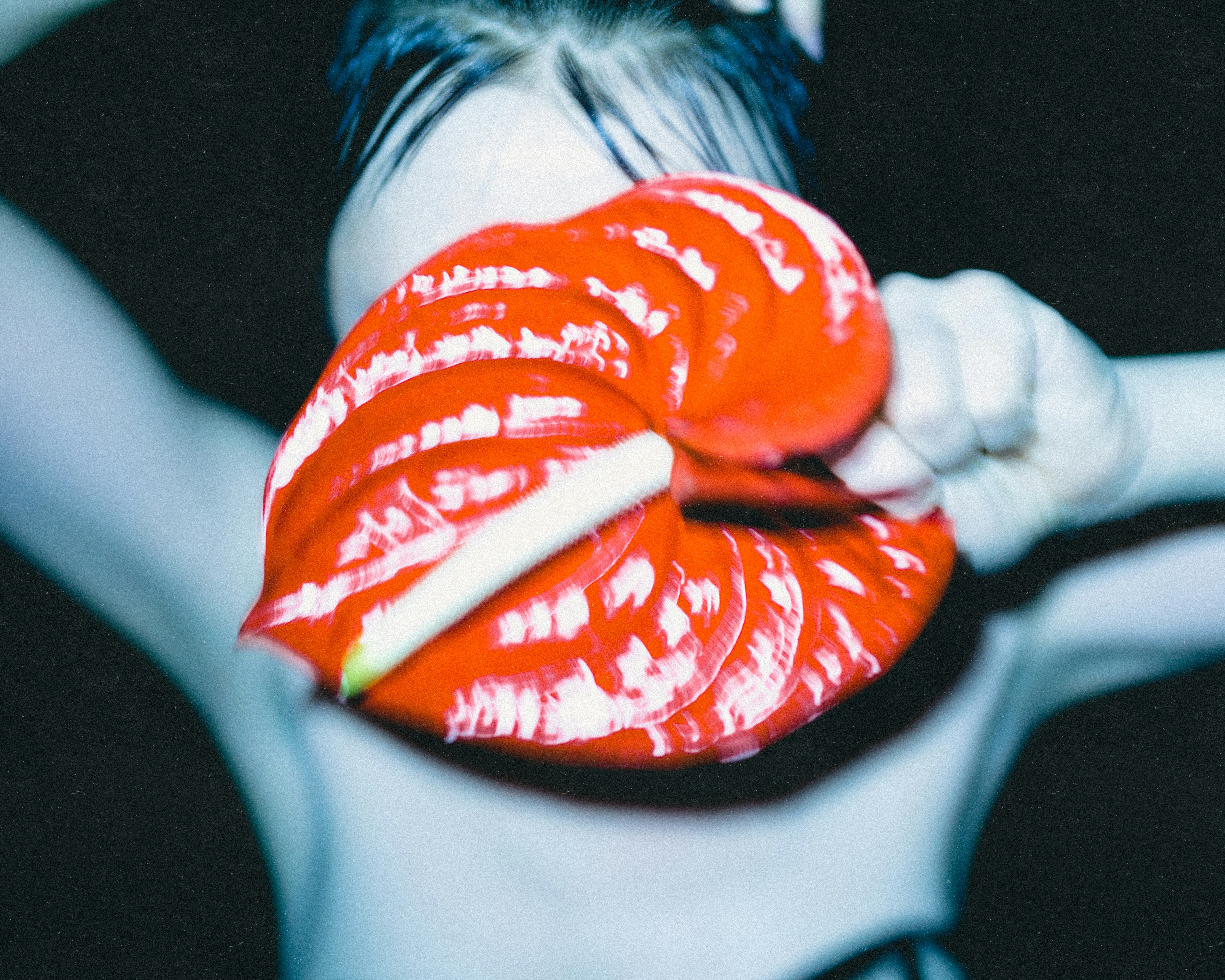 Photo by darkindigo88