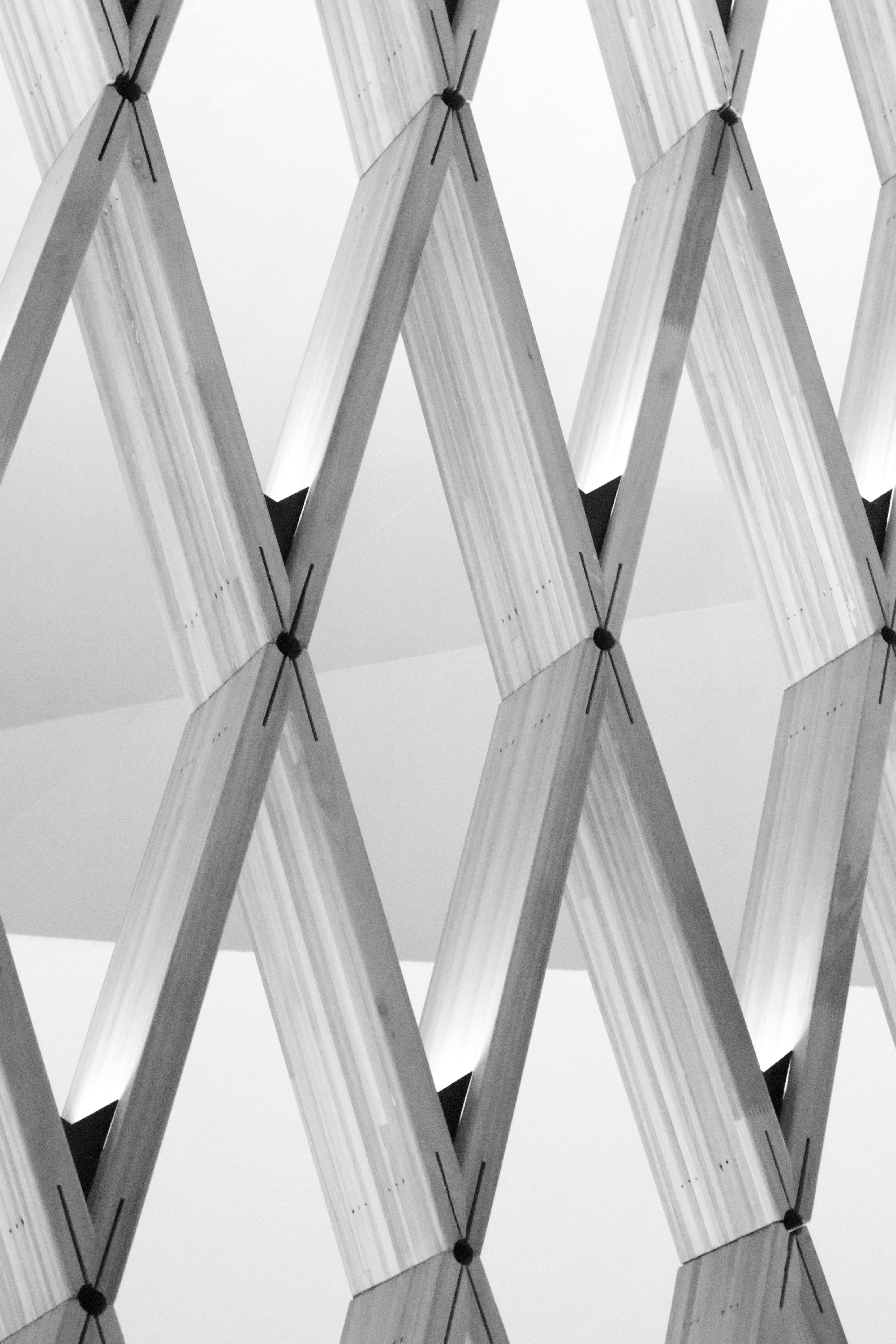 Photo by sofiagaigher