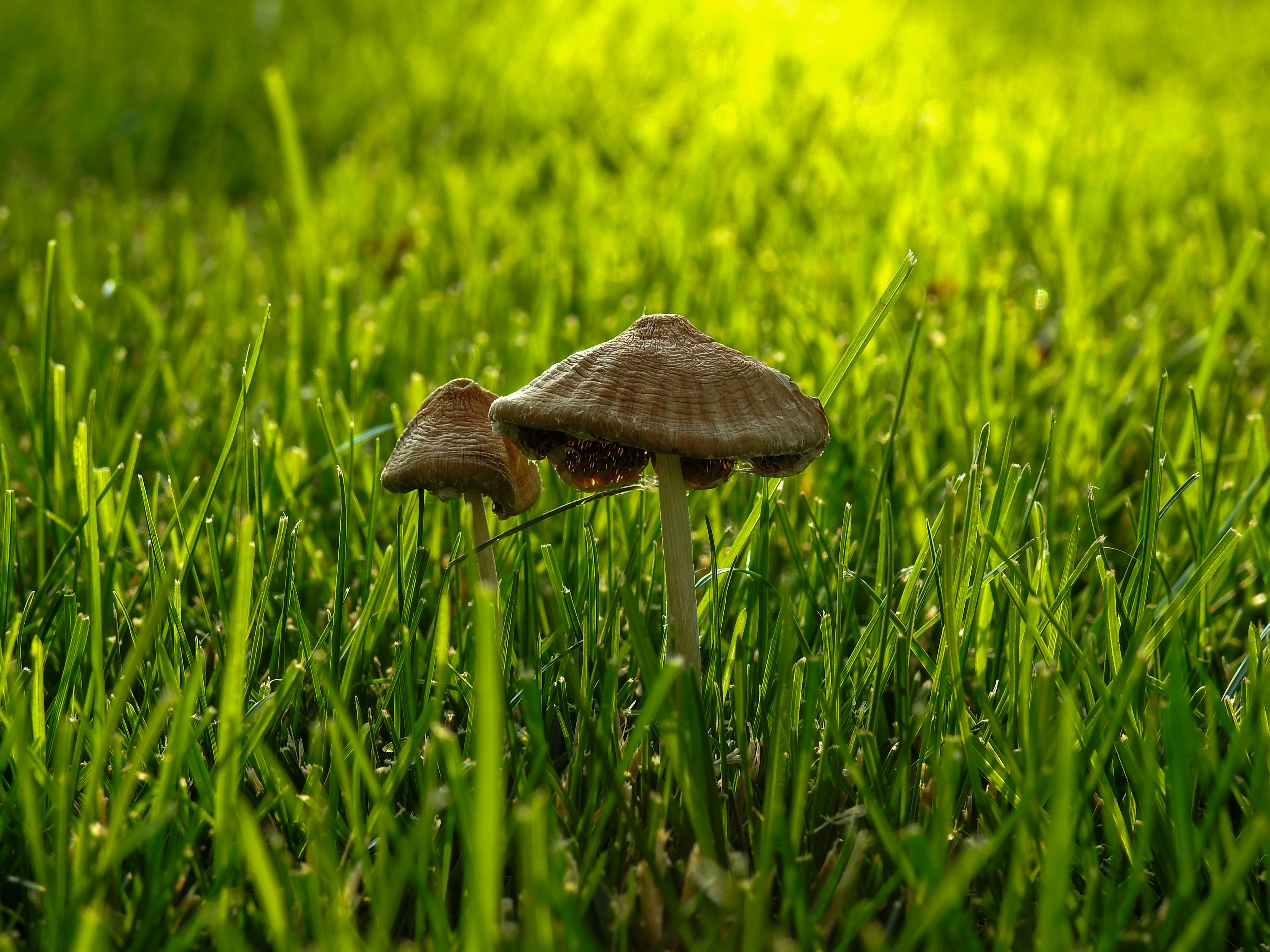 Photo by judd_nichols