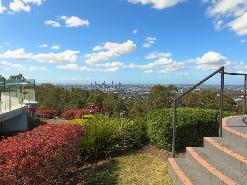 a walkway with bushes and trees