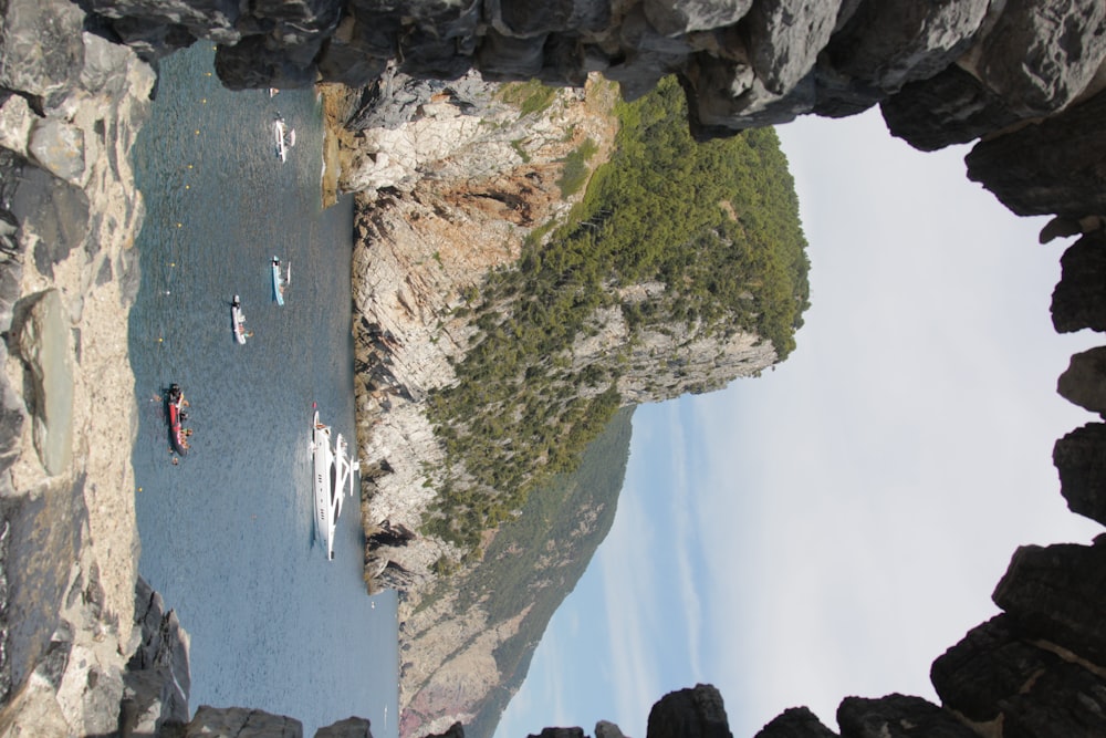 boats in the water