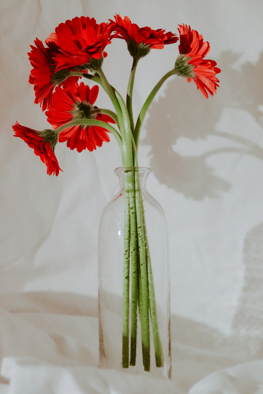 a vase with red flowers