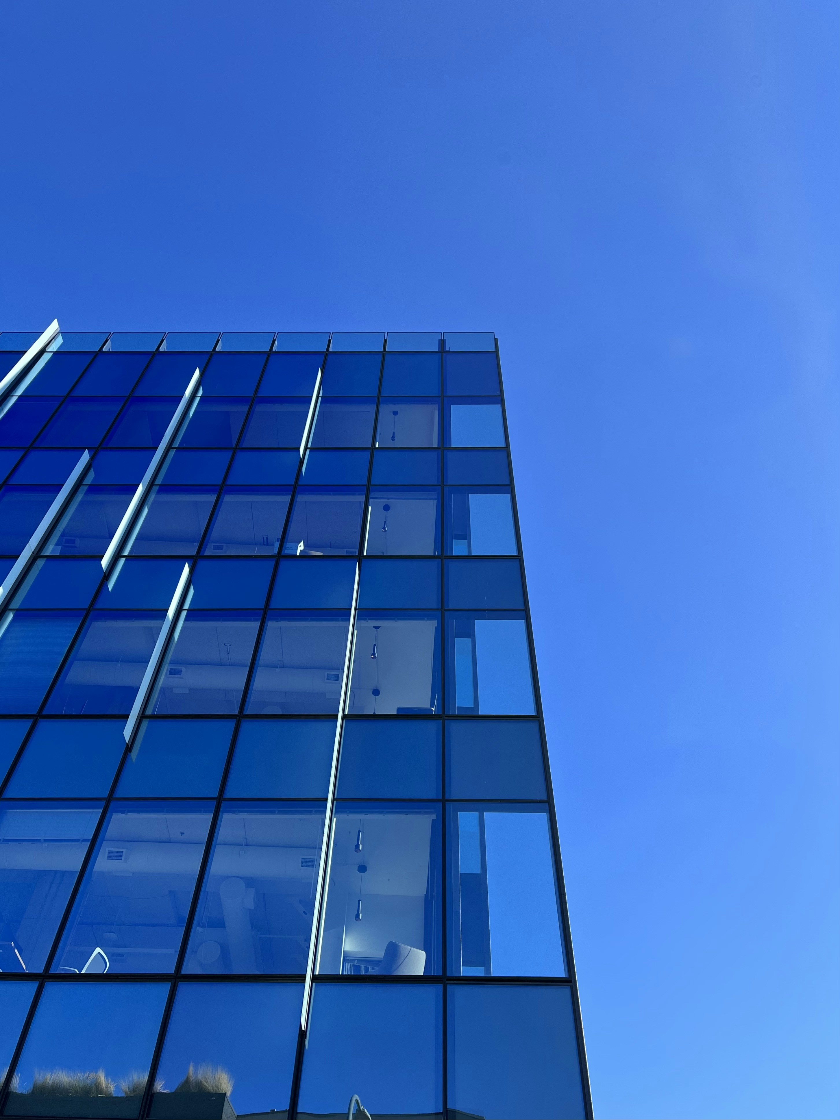 Photo by marsha_reid