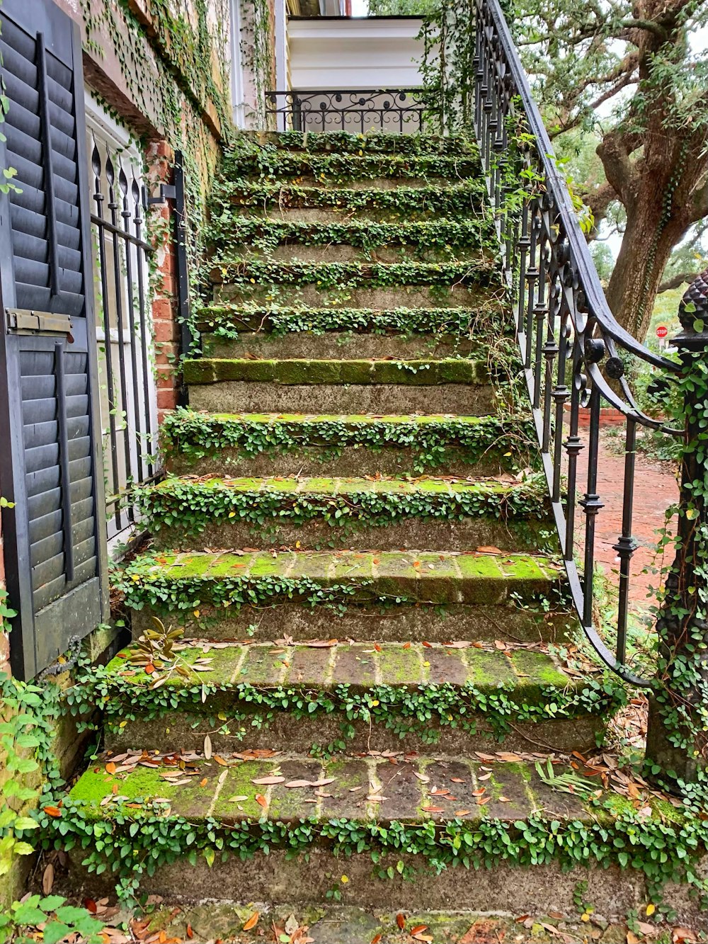 a set of stairs outside