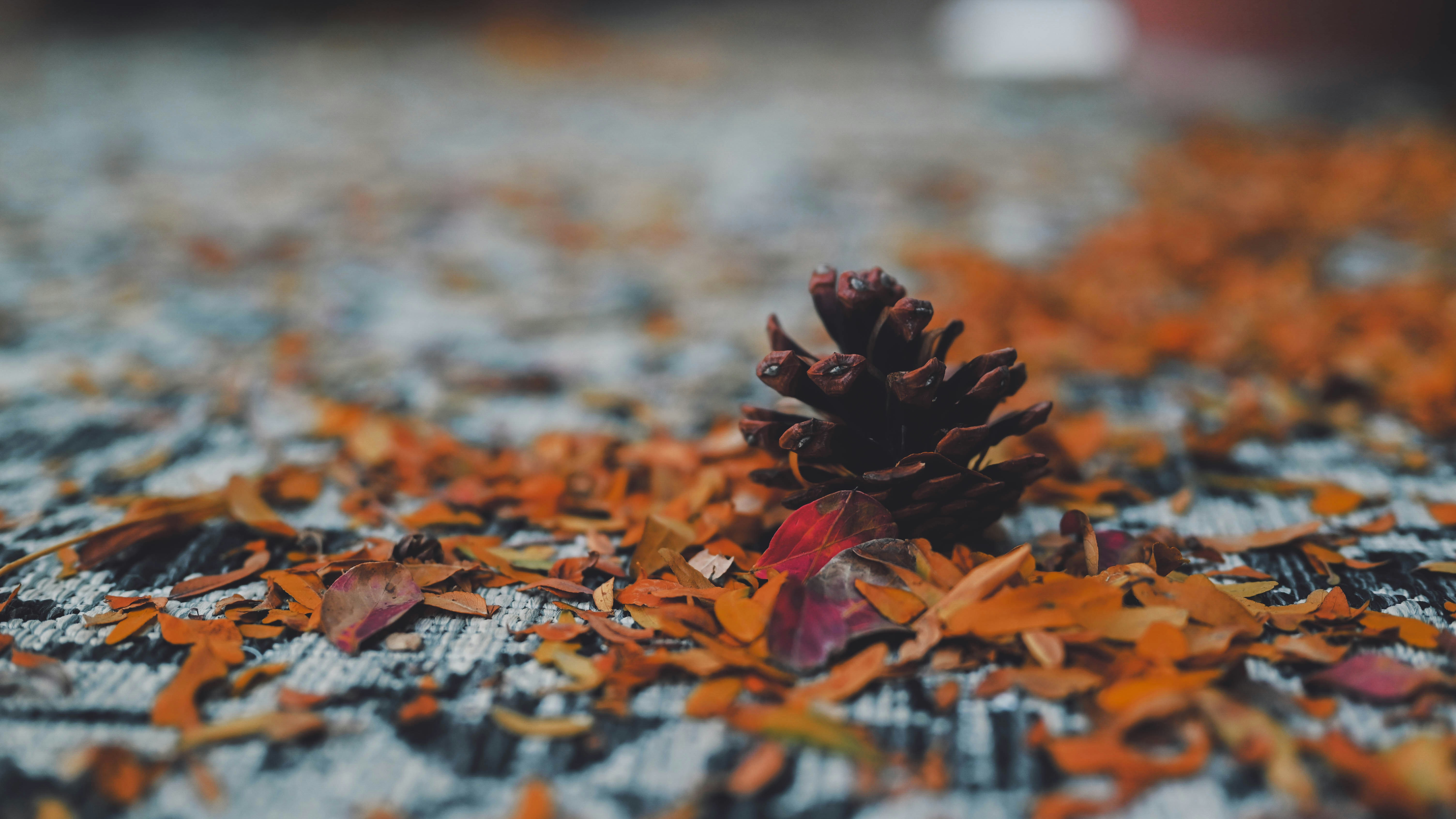 Building a Horror-Themed Puzzle Book for Halloween