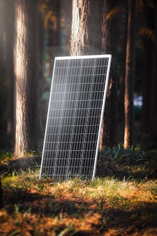 A solar panel is positioned upright in a forest, surrounded by tall trees with sunlight filtering through the foliage. The ground is covered with grass and fallen leaves, casting soft shadows.