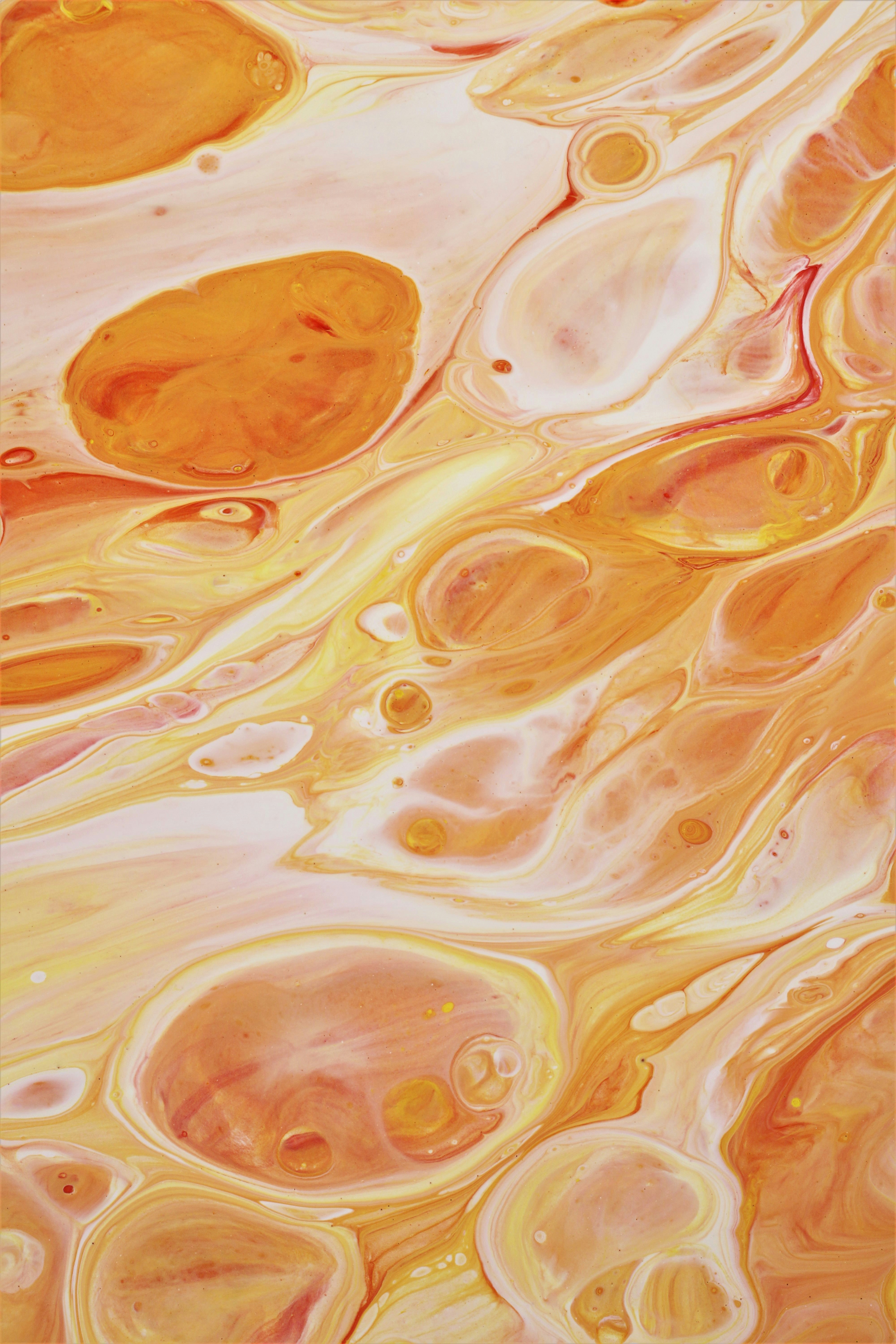 Photo by susan_wilkinson