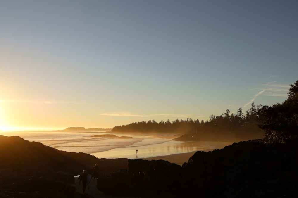 a beach with trees and a body of water in the background