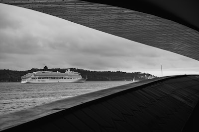 A large cruise ship sails across a calm body of water with an overcast sky. The foreground features an architectural structure with a modern, curved design. Trees and a distant building line the horizon.