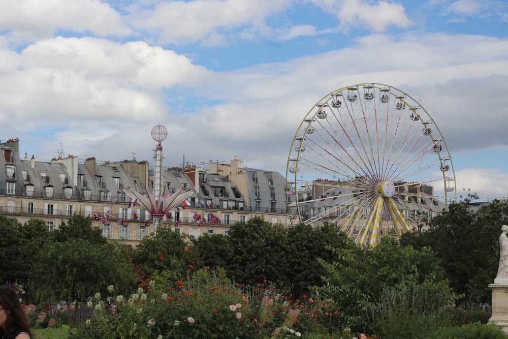 a ferris wheel in a park