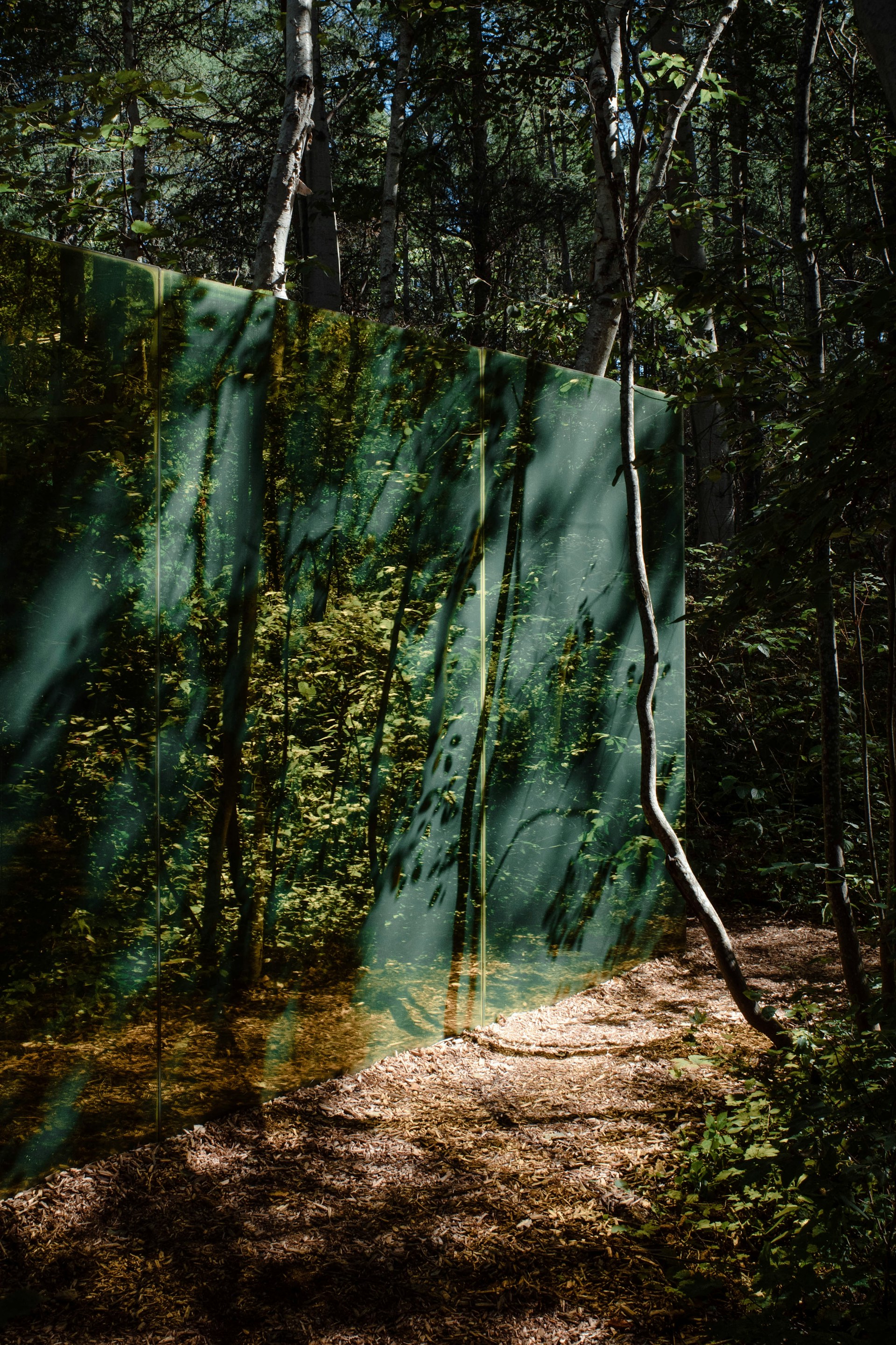 a waterfall in a forest