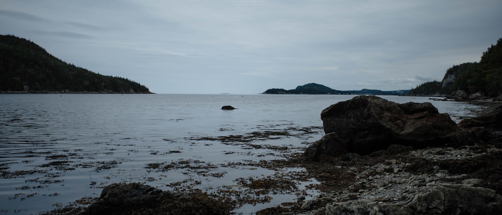 a rocky beach with trees and hills in the background