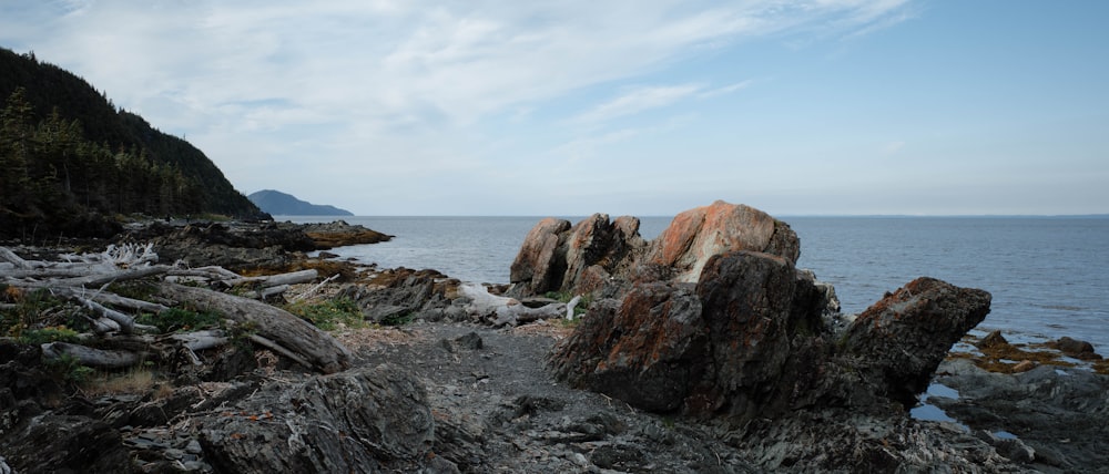 a rocky beach with trees and water