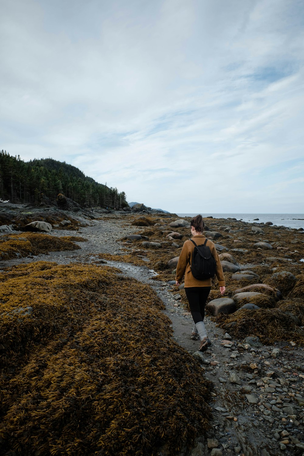 a person walking on a rocky beach