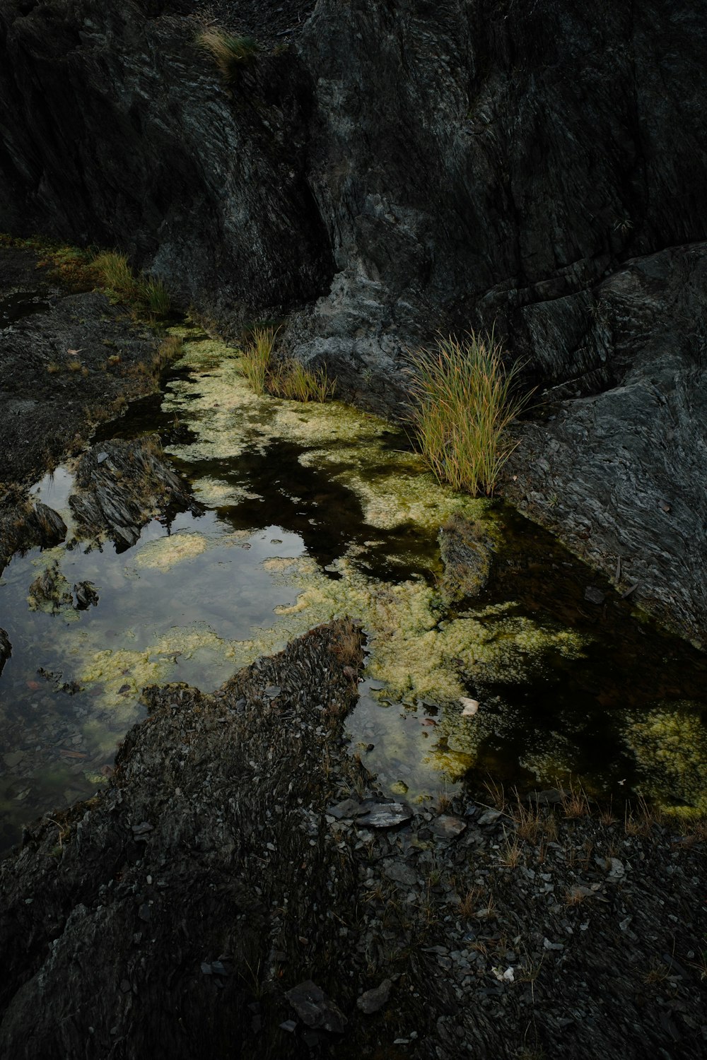 a small stream in a rocky area