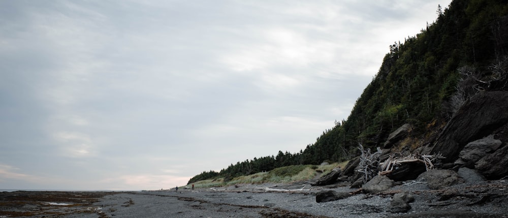 a rocky beach with a hill and trees on the side
