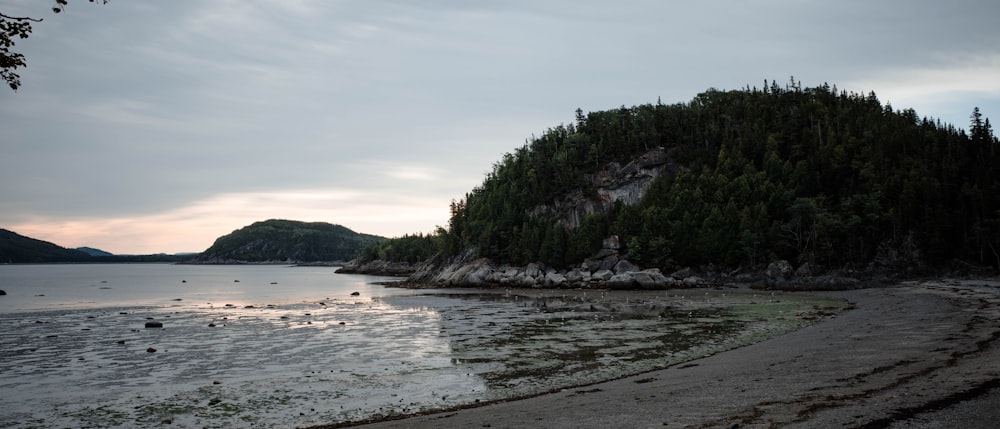 a beach with trees and a hill in the background