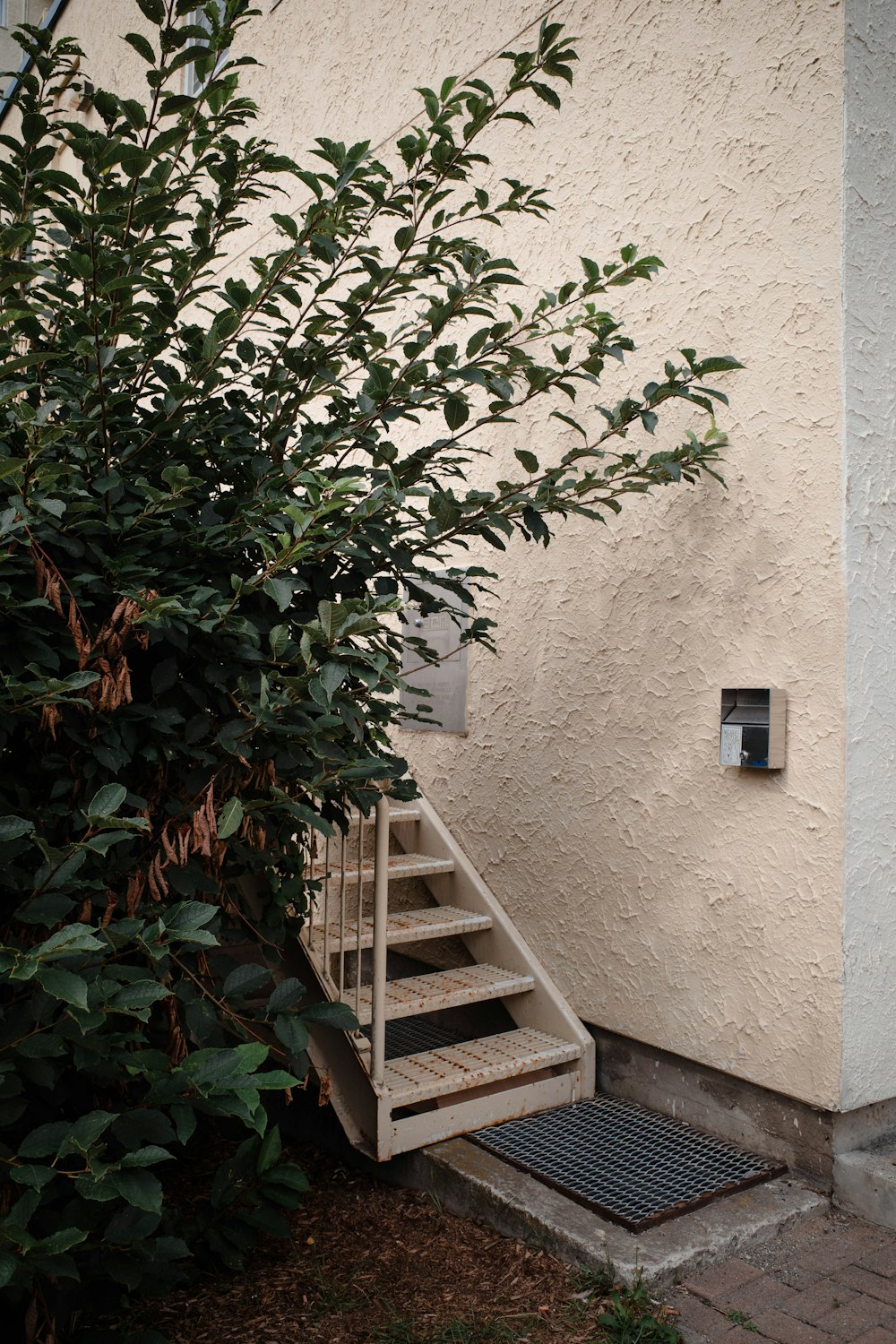 a small wooden ladder next to a wall with a planter