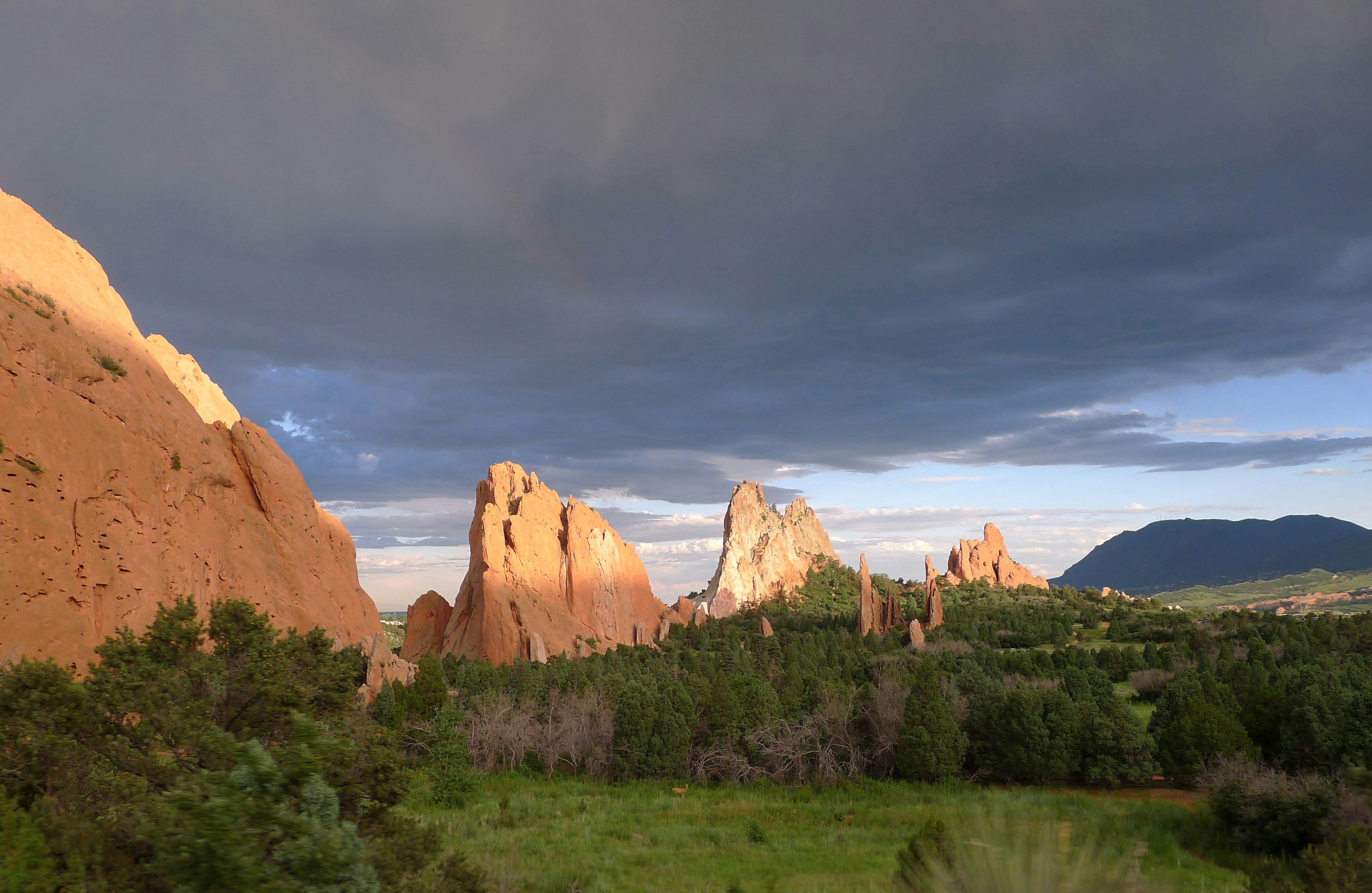 a landscape with trees and mountains in the back