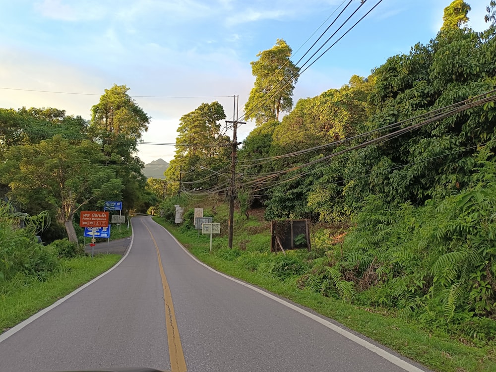 a road with trees on the side