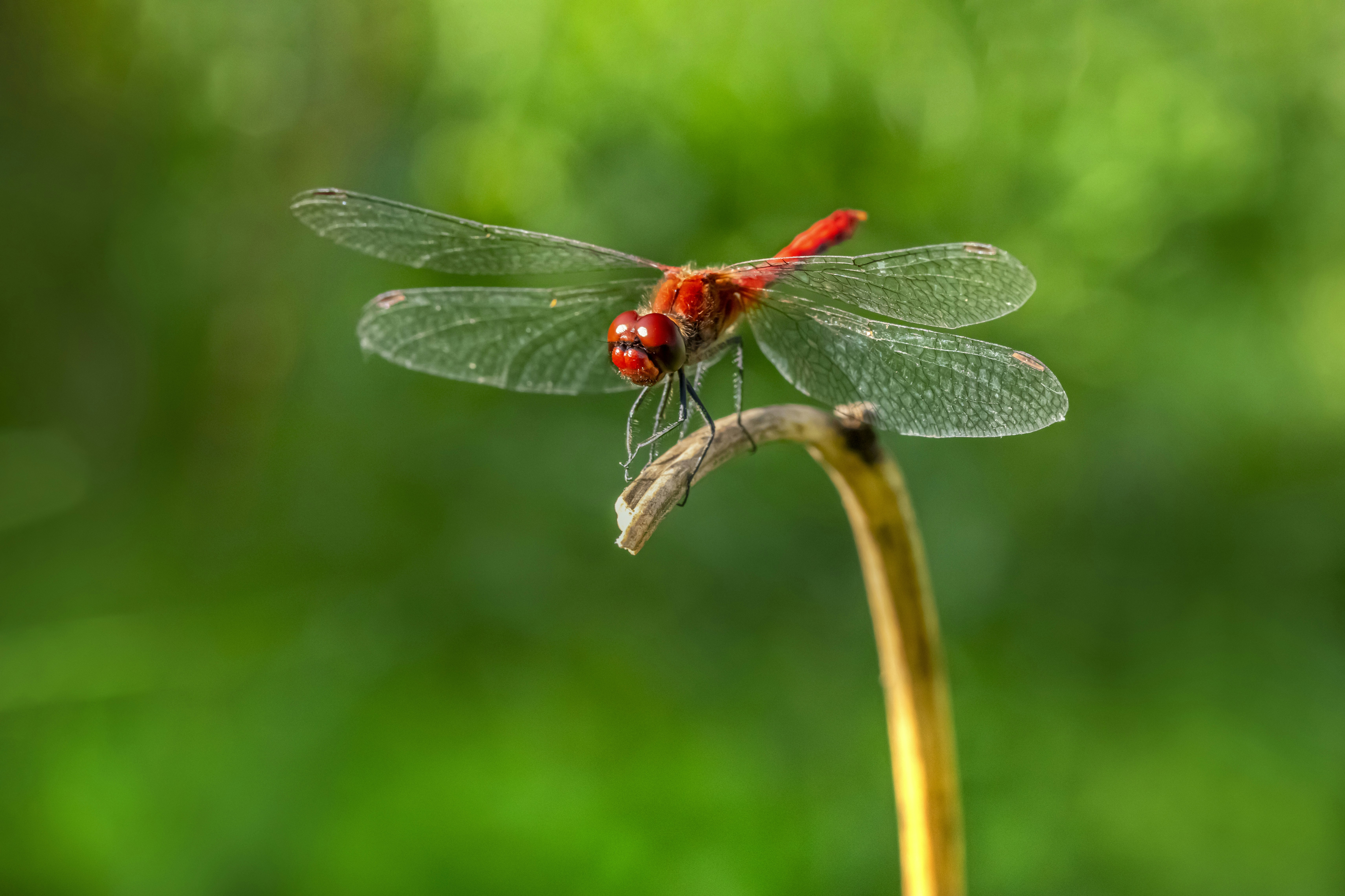 Photo by erik_karits