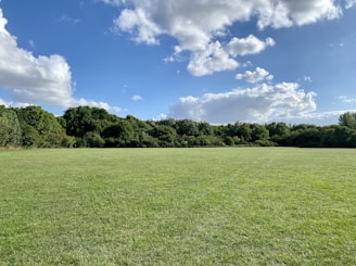 Spacious land plot with green grass and clear sky background.