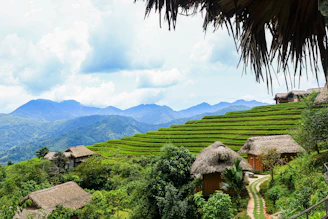 Scenic view of rice fields with traditional houses in the background.