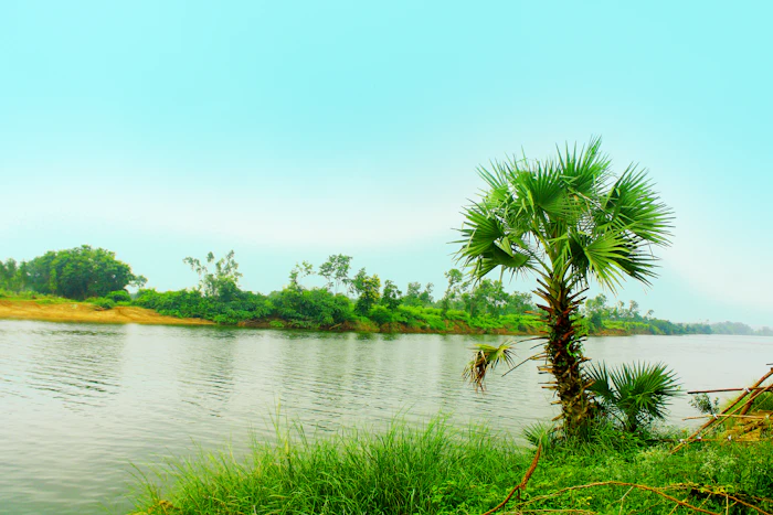 Eco Friendly Resorts